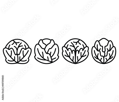 brussel sprouts icons symbol vector design simple line flat black white illustration collections sets