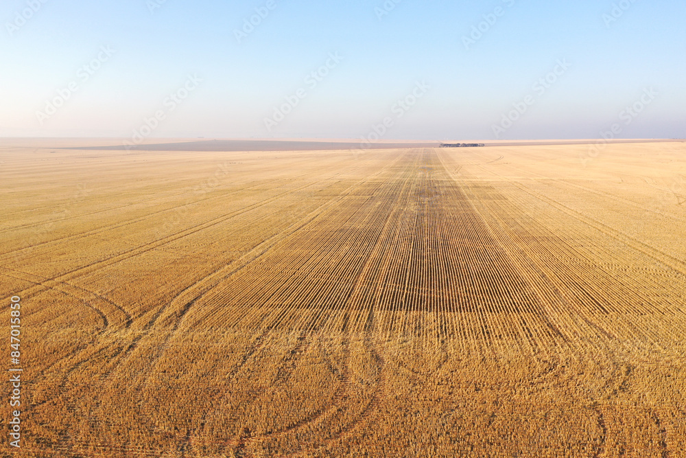Crop stubble. Farm at Tumby Bay. Eyre Peninsula. South Australia. Crop stubble. Farm at Tumby Bay. Eyre Peninsula. South Australia.
