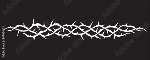white crown of thorns image isolated on black background