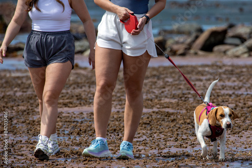 фотографія Benefits of Dog Walking