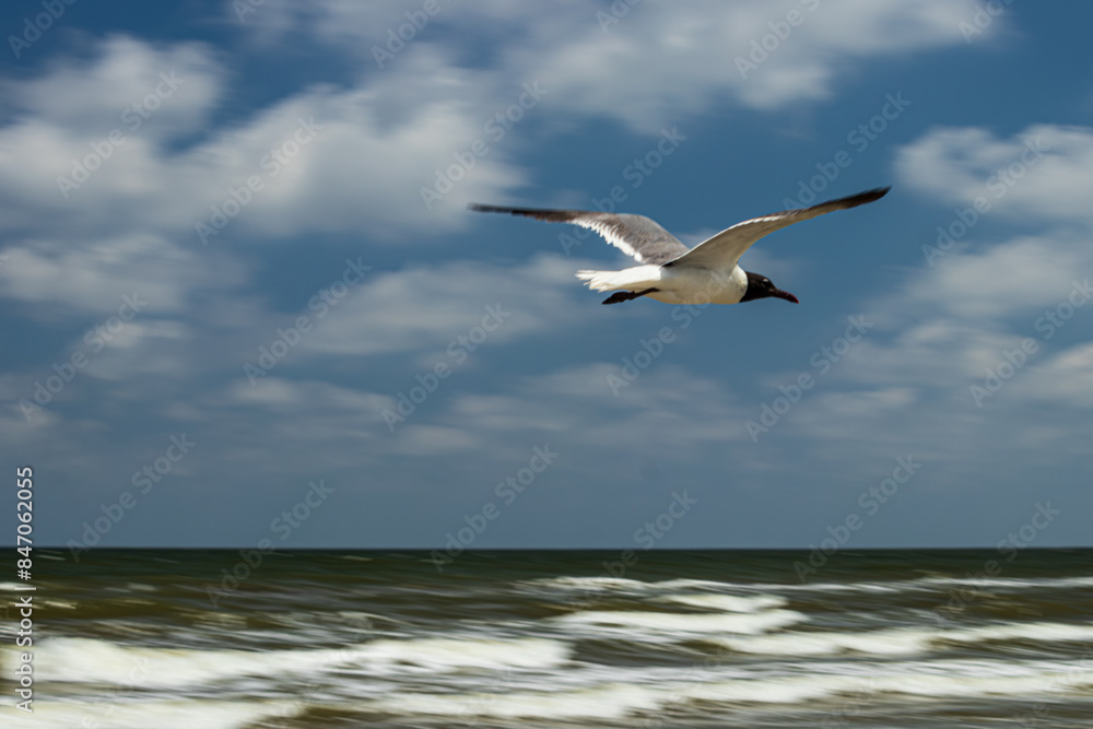 A seagull soars gracefully over a choppy sea with its wings outstretched against a backdrop of scattered clouds in a blue sky at Surfside Beach, Texas. A seagull soars gracefully over a choppy sea with its wings outstretched against a backdrop of scattered clouds in a blue sky at Surfside Beach, Texas.