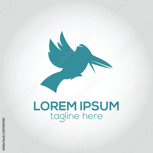 Abstract bird logo design concept isolated vector template illustration