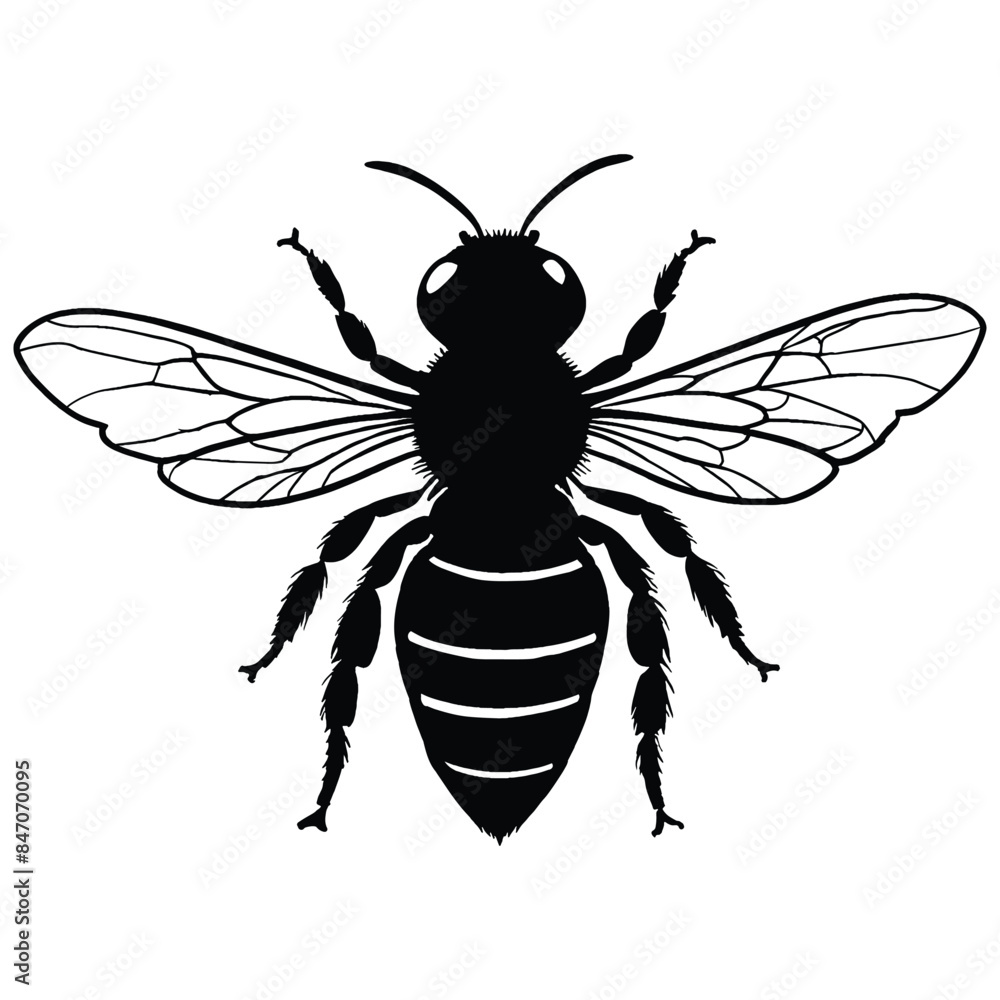 Honey Bee silhouettes and icons. Black flat color simple elegant white background Manatee animal vector and illustration. Honey Bee silhouettes and icons. Black flat color simple elegant white background Manatee animal vector and illustration.