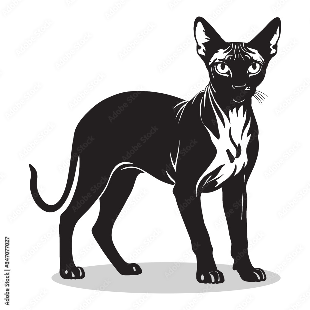 Sphynx Cat silhouettes and icons. Black flat color simple elegant white background Manatee animal vector and illustration. Sphynx Cat silhouettes and icons. Black flat color simple elegant white background Manatee animal vector and illustration.