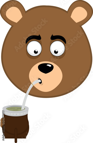 vector illustration face brown bear grizzly cartoon drinking the classic argentine drink or infusion yerba mate