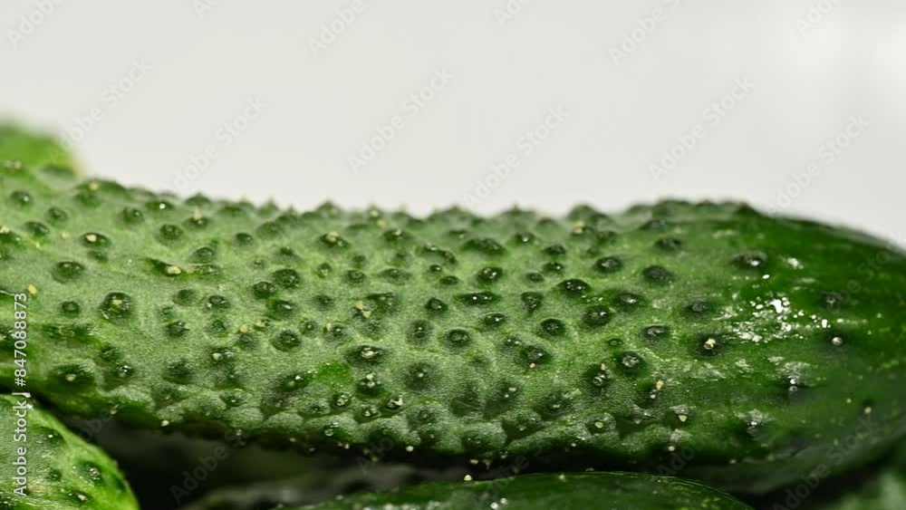 fresh cucumbers fresh cucumbers