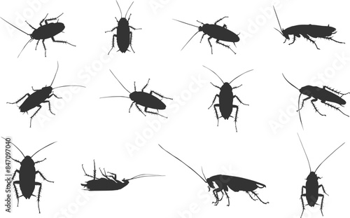 Cockroach silhouettes, Cockroach svg, Cockroach silhouette set, Cockroach icon, Dead cockroach silhouette, Cockroach vector set. 