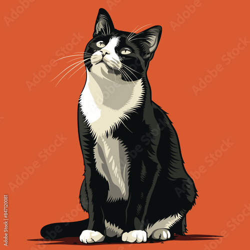 Black white tuxedo cat sitting looking up, orange background. Alert curious feline whiskers, detailed fur illustration. Domestic shorthaired pet attentive gaze, elegant posture