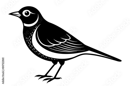 lark bird silhouette vector illustration