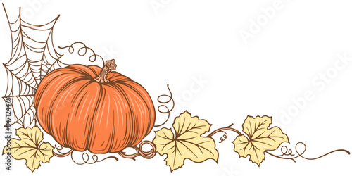 halloween pumpkin with leaves. Pumpkin thanksgiving element vector illustration