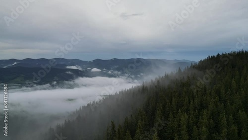 fog in the mountains