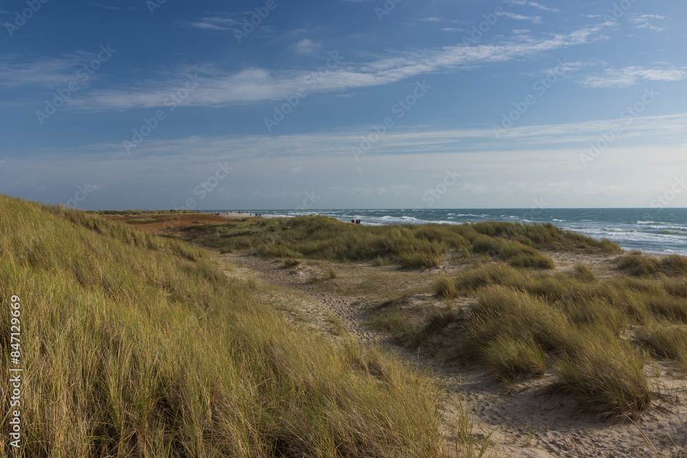 Dünenlandschaft am Strand von Grenen, Skagen, Nordjütland, Dänemark Dünenlandschaft am Strand von Grenen, Skagen, Nordjütland, Dänemark