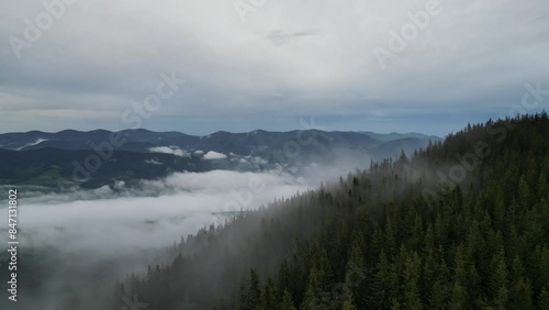 fog in the mountains