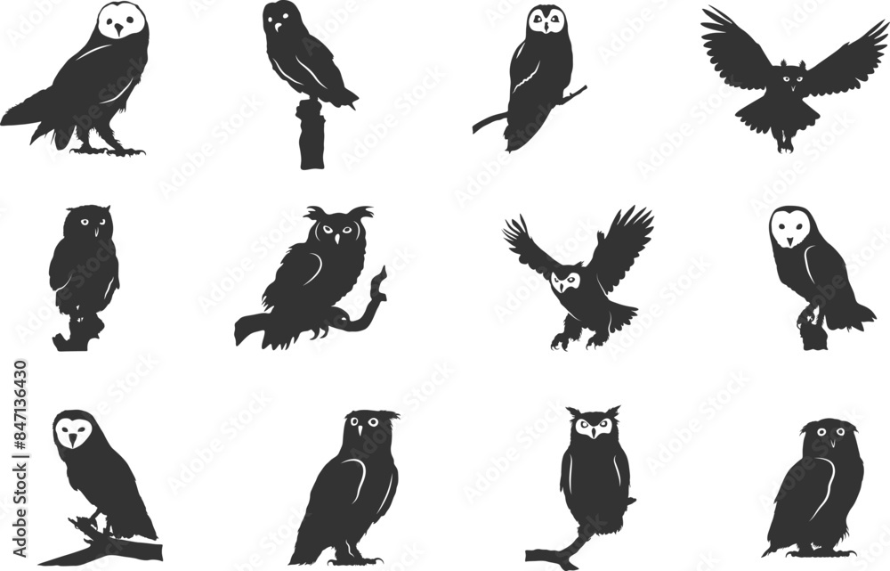 Owl silhouettes, Barn owl silhouette, Owl silhouettes, Owl vector ...