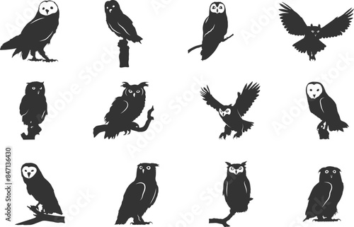 Owl silhouettes, Barn owl silhouette, Owl silhouettes, Owl vector illustration, Owl svg,  Barn owl svg, Owl clipart.