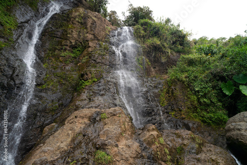 A waterfall with a lush green forest in the background. The water is flowing down the rocks and the trees are growing on the side of the cliff