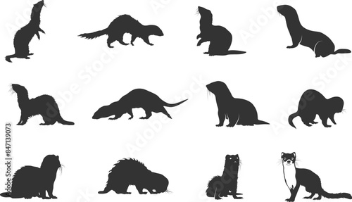 Ferret silhouette, Ferret svg, Weasel svg, Animal svg, Weasel svg, Ferret Bundle, Weasel silhouette, Ferret animal vector set.