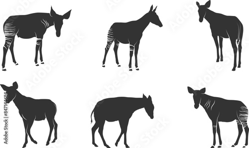 Canvas-taulu Okapi animal silhouettes, Okapi svg, Okapi silhouettes, Okapi animal svg, Okapi clipart, Okapi animal vector illustration