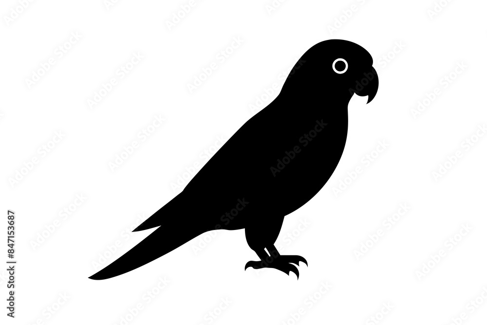 Obraz premium parrot bird silhouette vector illustration