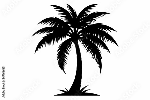 Palm tree silhouette vector art