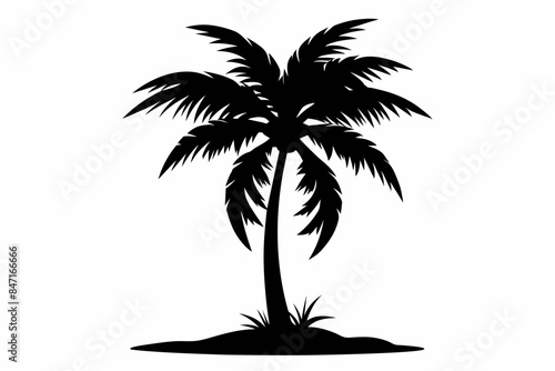 Palm tree silhouette vector art