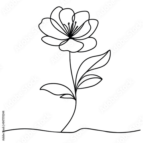 One line drawing. beautiful pione. Minimalist hand drawn sketch. Vector stock illustration. photo