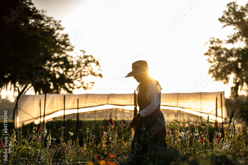 Silhouetted gardener in the sunlight photo