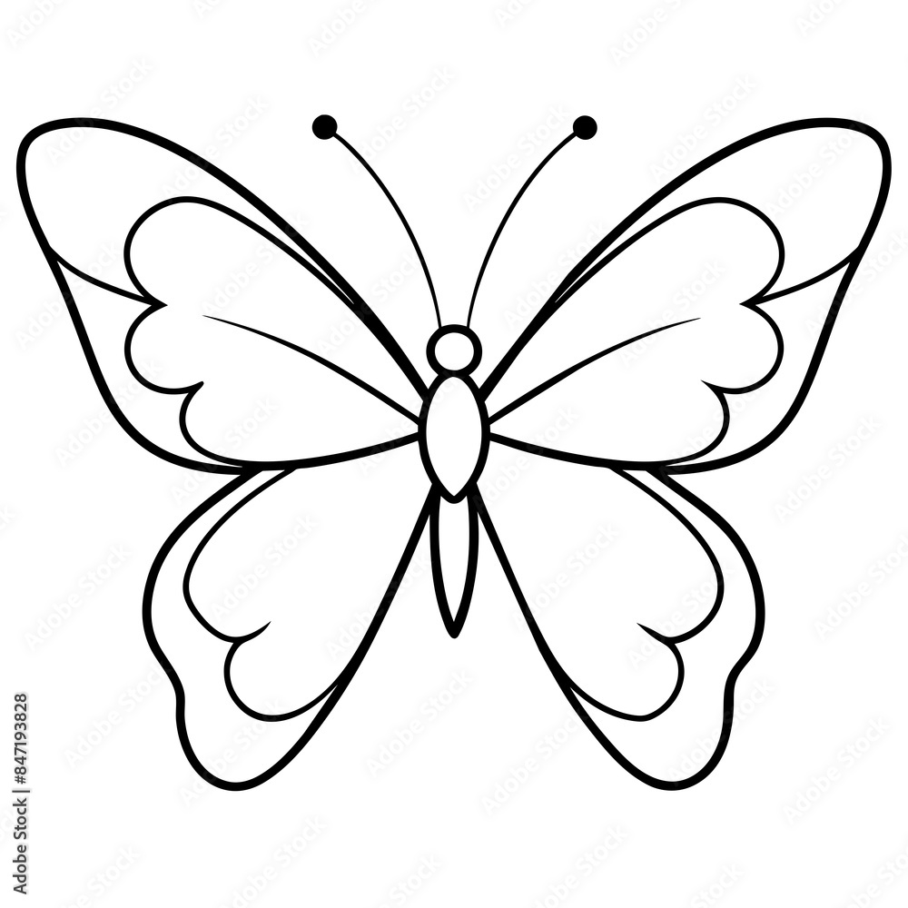 Butterfly line art vector illustration Butterfly line art vector illustration