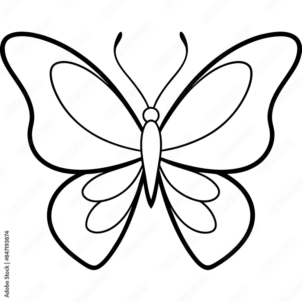 Butterfly line art vector illustration Butterfly line art vector illustration