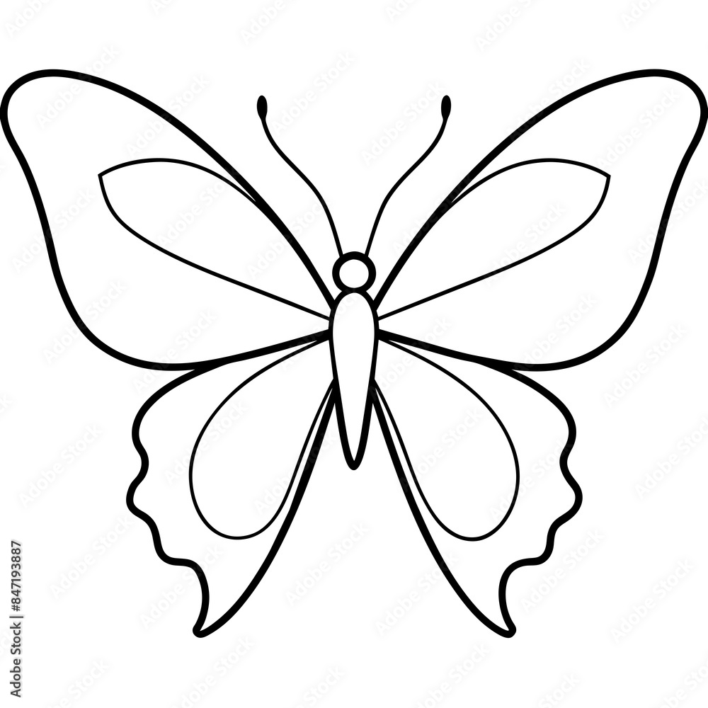 Butterfly line art vector illustration Butterfly line art vector illustration