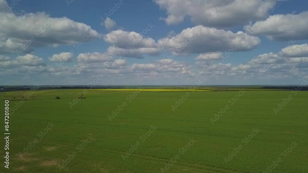In the green field, under the blue sky, white clouds form a peaceful outdoor scene In the green field, under the blue sky, white clouds form a peaceful outdoor scene