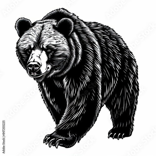 A black and white drawing of a bear on a white background