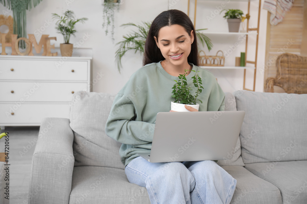 Young happy woman sitting on sofa with houseplant and laptop in living room Young happy woman sitting on sofa with houseplant and laptop in living room