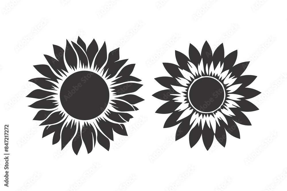 Fototapeta premium Black and white sunflower Beautiful sunflower flowers. Vector illustration