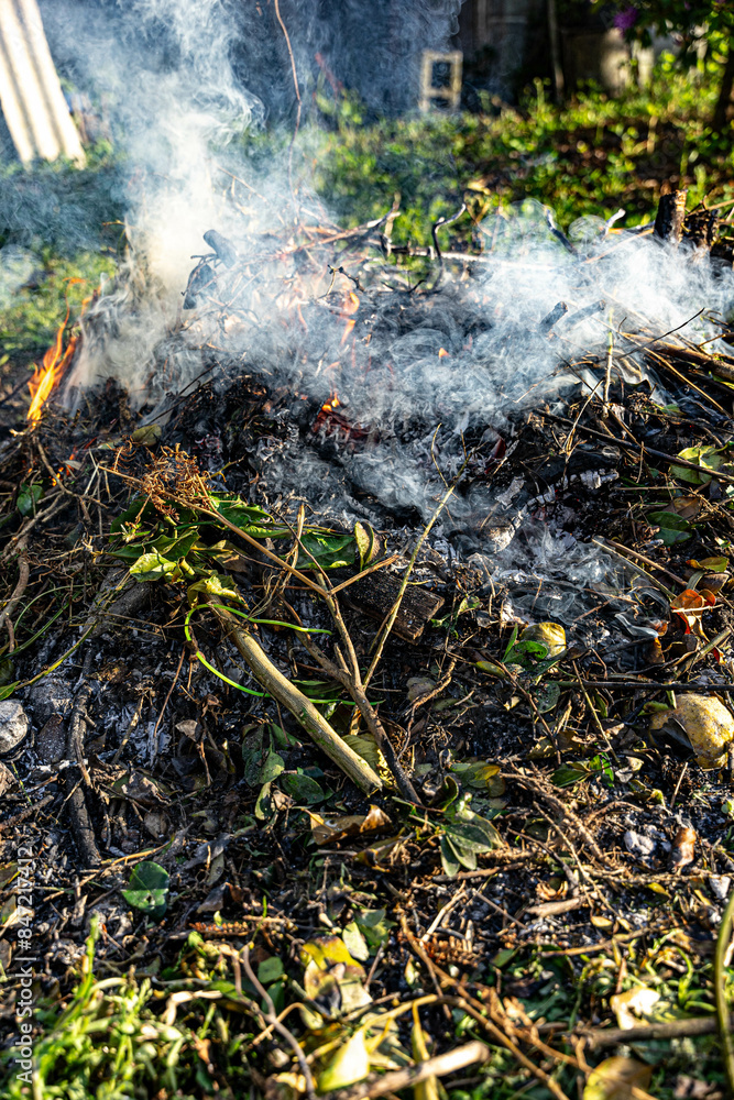 Winter bonfire to burn the remains generated by the care of a garden Winter bonfire to burn the remains generated by the care of a garden
