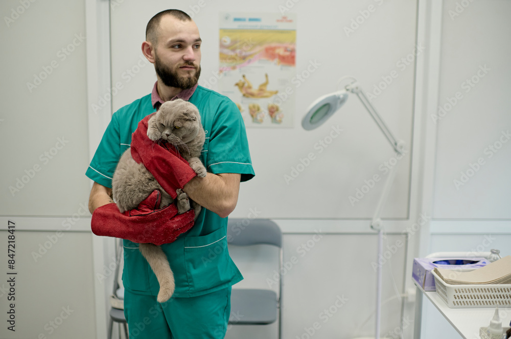 portrait of a young veterinarian with a cat in his arms portrait of a young veterinarian with a cat in his arms