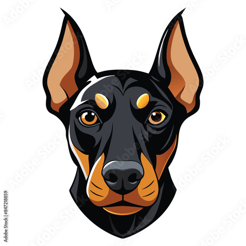 Vector Illustration of a Doberman Dog Head - Detailed and Stylized Portrait of a Doberman Pinscher with Alert Ears and Intense Gaze