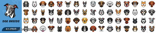 Set of 64 Dog Breed Icons. Detailed Vector Illustrations of Popular Dog Breeds for Pet Lovers and Designers. Adorable and Unique Dog Face Icons for Pet Lovers.