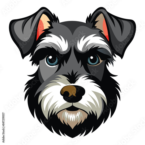 Detailed vector illustration of a Miniature Schnauzer dog head portrait with expressive eyes and distinctive beard, perfect for pet lovers and dog-themed designs
