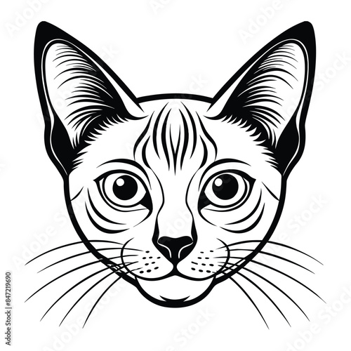 Detailed vector illustration of a Colorpoint Shorthair cat head portrait with striking features and intricate linework