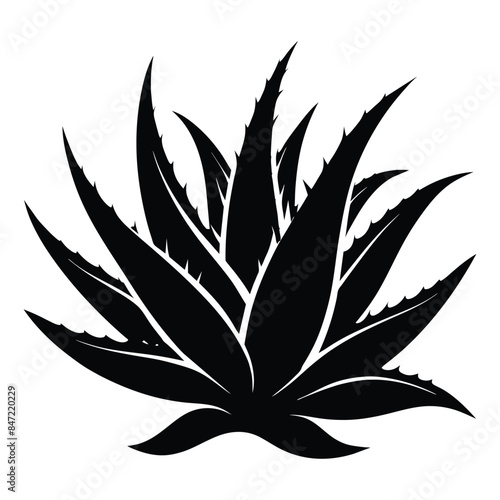Detailed Vector Silhouette of an Aloe Vera Plant with Sharp Spiky Leaves in High Contrast Black