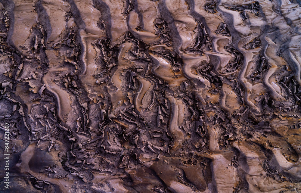 Cracks in Mud in New Mexico, United States Cracks in Mud in New Mexico, United States