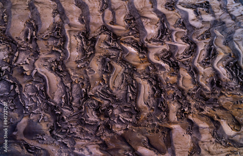 Cracks in Mud in New Mexico, United States photo