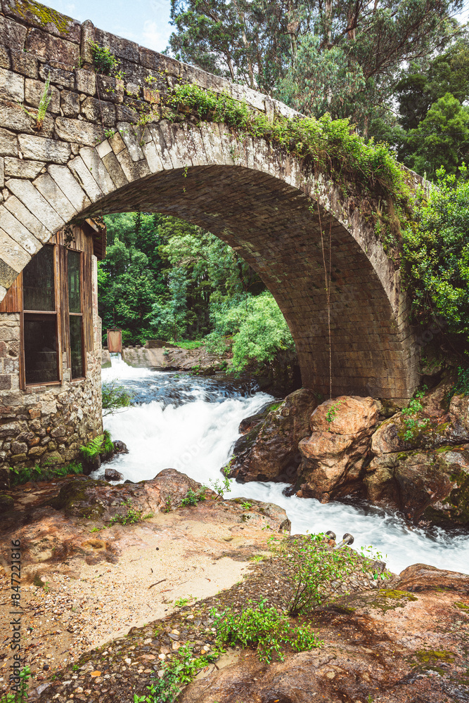 Obraz premium Mountain river with fast current over which passes a stone bridge from the Middle Ages