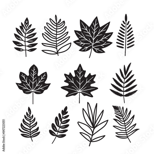 set of silhouettes leaves icon vector illustration design. 