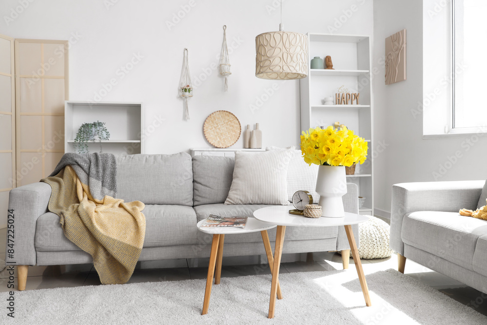 Obraz premium Comfortable sofas, shelving unit and vase with narcissus flowers in light living room