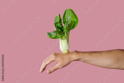 shanghai bok choy in balance on the hand photo