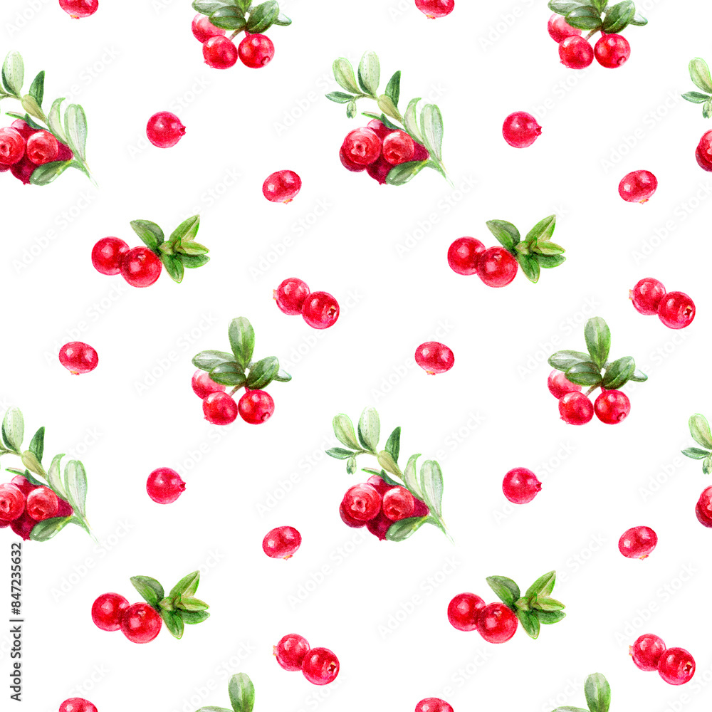 Red cranberries and green leaves on white backdrop, ideal for holiday or nature designs Red cranberries and green leaves on white backdrop, ideal for holiday or nature designs
