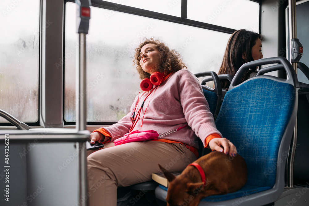 Relaxed bus ride Relaxed bus ride