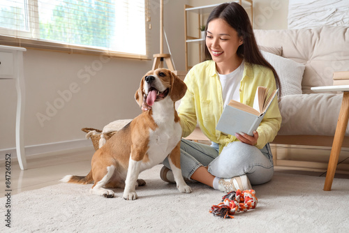 Young woman holding book and playing with cute Beagle dog on floor in living ...